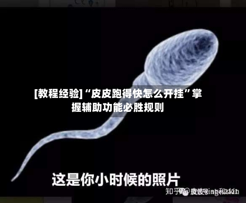 [教程经验]“皮皮跑得快怎么开挂	”掌握辅助功能必胜规则-第2张图片