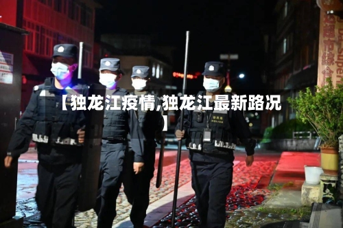 【独龙江疫情,独龙江最新路况】