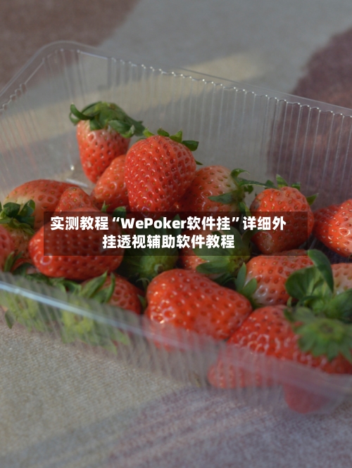 实测教程“WePoker软件挂”详细外挂透视辅助软件教程-第3张图片