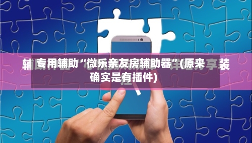 专用辅助“微乐亲友房辅助器”(原来确实是有插件)-第3张图片