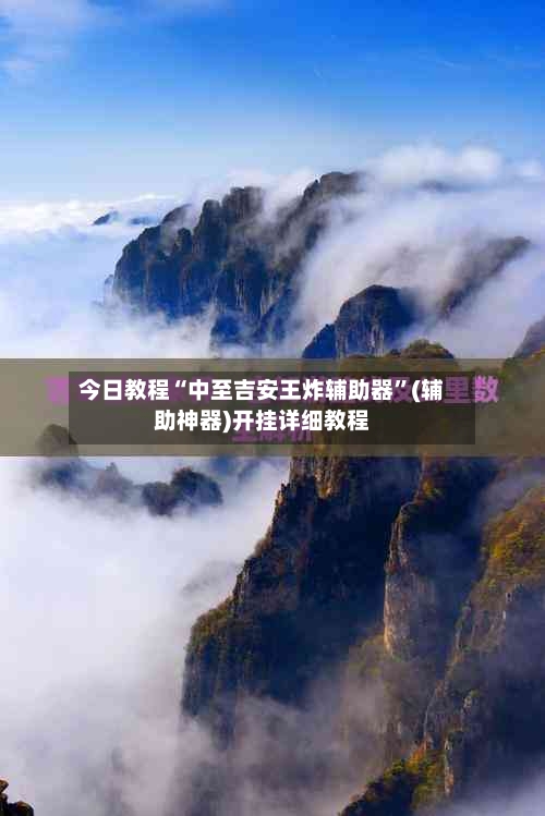 今日教程“中至吉安王炸辅助器”(辅助神器)开挂详细教程-第2张图片