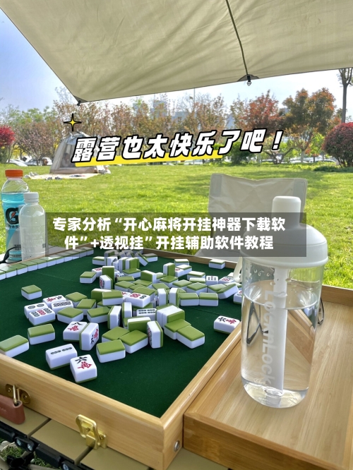 专家分析“开心麻将开挂神器下载软件”+透视挂	”开挂辅助软件教程-第2张图片