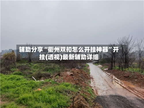 辅助分享“衢州双扣怎么开挂神器”开挂(透视)最新辅助详细-第3张图片