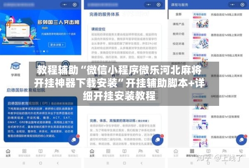 教程辅助“微信小程序微乐河北麻将开挂神器下载安装”开挂辅助脚本+详细开挂安装教程-第3张图片