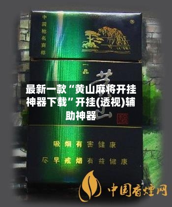 最新一款“黄山麻将开挂神器下载”开挂(透视)辅助神器-第3张图片
