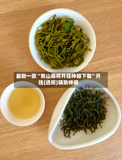 最新一款“黄山麻将开挂神器下载”开挂(透视)辅助神器-第2张图片