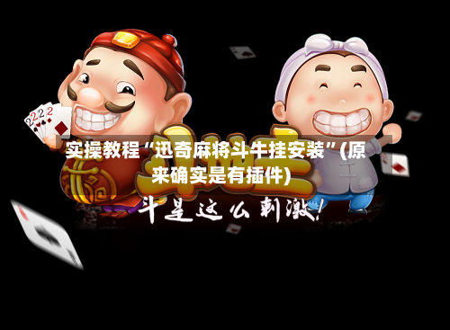 实操教程“迅奇麻将斗牛挂安装	”(原来确实是有插件)-第2张图片