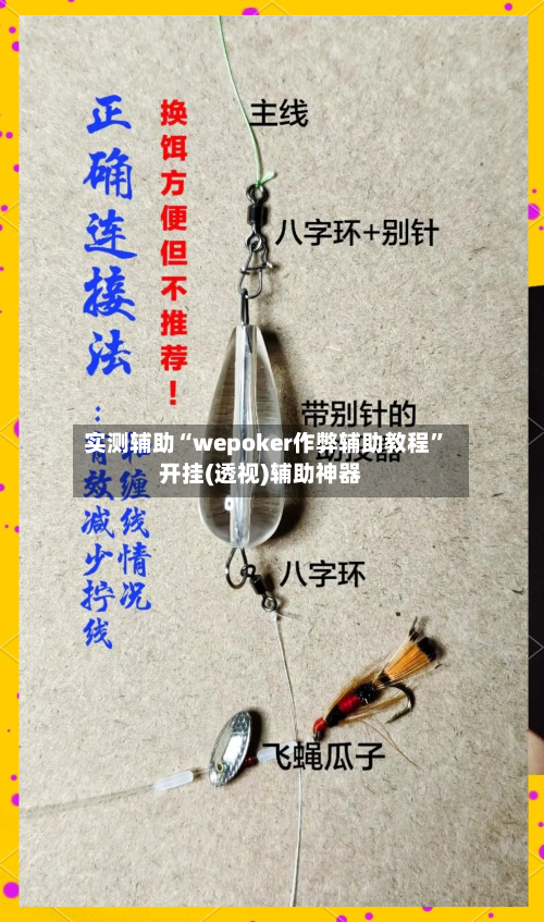 实测辅助“wepoker作弊辅助教程”开挂(透视)辅助神器-第3张图片