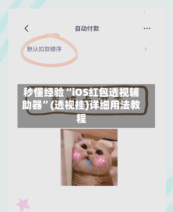秒懂经验“iOS红包透视辅助器”(透视挂)详细用法教程-第3张图片
