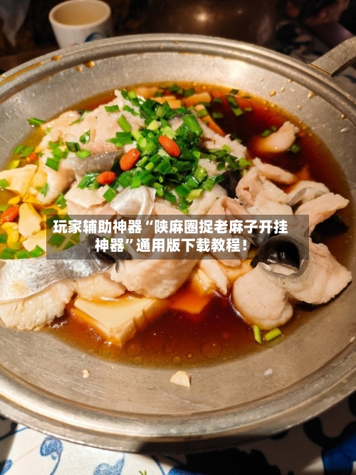 玩家辅助神器“陕麻圈捉老麻子开挂神器”通用版下载教程！-第2张图片