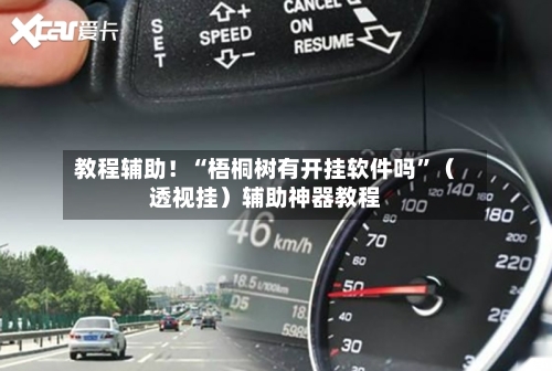 教程辅助！“梧桐树有开挂软件吗”（透视挂）辅助神器教程