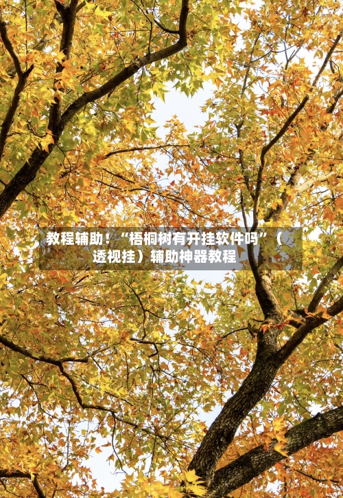 教程辅助！“梧桐树有开挂软件吗”（透视挂）辅助神器教程-第2张图片