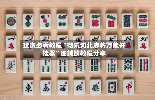 玩家必看教程“微乐河北麻将万能开挂器”细辅助教程分享-第2张图片