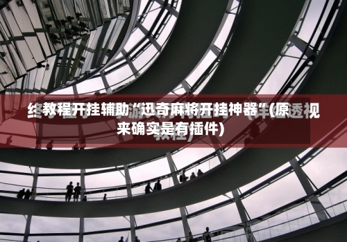 教程开挂辅助“迅奇麻将开挂神器”(原来确实是有插件)-第3张图片