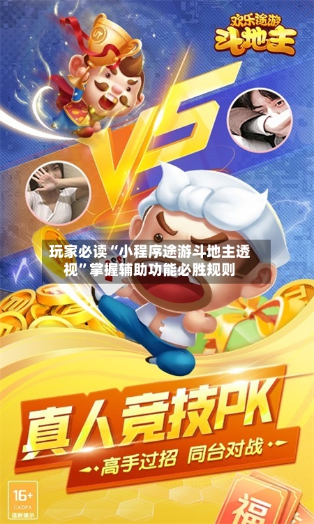 玩家必读“小程序途游斗地主透视”掌握辅助功能必胜规则-第3张图片