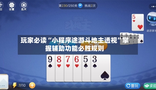 玩家必读“小程序途游斗地主透视	”掌握辅助功能必胜规则-第2张图片