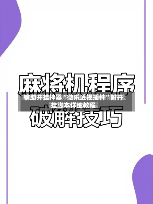 辅助开挂神器“微乐透视插件”附开挂脚本详细教程-第2张图片