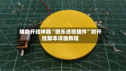 辅助开挂神器“微乐透视插件	”附开挂脚本详细教程-第3张图片