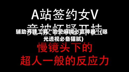 辅助开挂工具“哈灵麻将必赢神器	”(曝光透视必备猫腻)-第2张图片