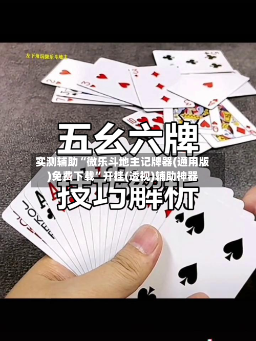 实测辅助“微乐斗地主记牌器(通用版)免费下载”开挂(透视)辅助神器-第2张图片