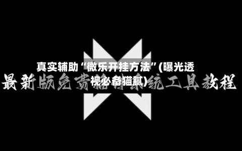 真实辅助“微乐开挂方法”(曝光透视必备猫腻)-第2张图片