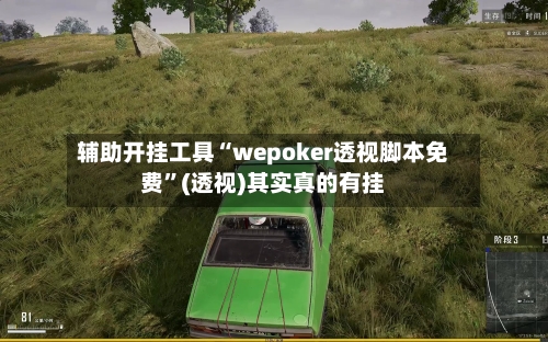 辅助开挂工具“wepoker透视脚本免费”(透视)其实真的有挂-第2张图片