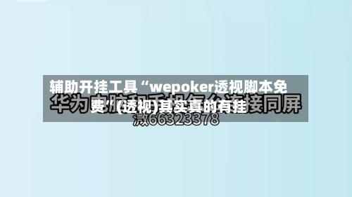 辅助开挂工具“wepoker透视脚本免费	”(透视)其实真的有挂-第3张图片