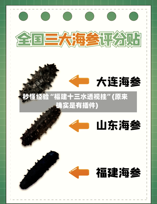 秒懂经验“福建十三水透视挂”(原来确实是有插件)-第3张图片