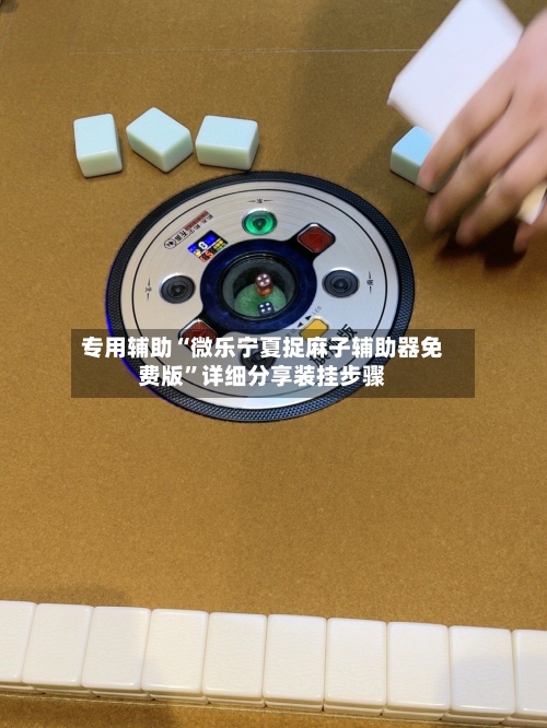 专用辅助“微乐宁夏捉麻子辅助器免费版	”详细分享装挂步骤-第3张图片