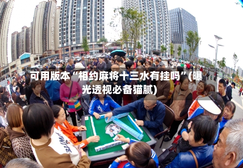 可用版本“相约麻将十三水有挂吗”(曝光透视必备猫腻)-第2张图片