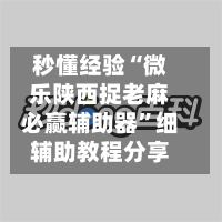 秒懂经验“微乐陕西捉老麻必赢辅助器”细辅助教程分享-第3张图片