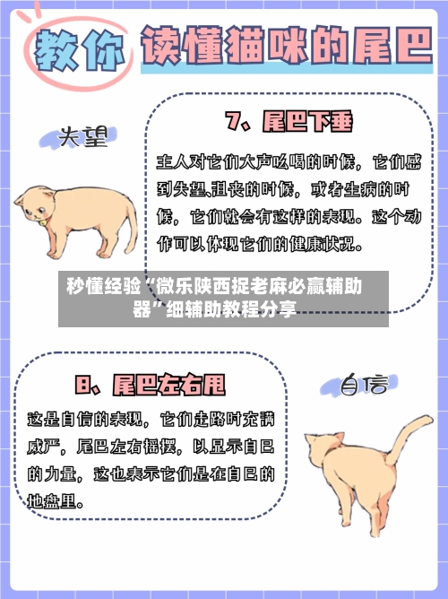 秒懂经验“微乐陕西捉老麻必赢辅助器	”细辅助教程分享-第2张图片