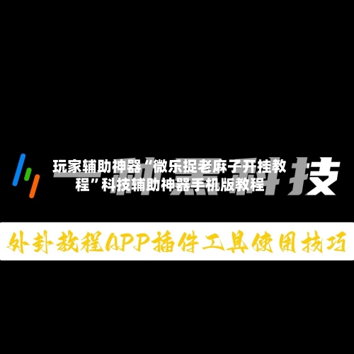 玩家辅助神器“微乐捉老麻子开挂教程”科技辅助神器手机版教程-第2张图片