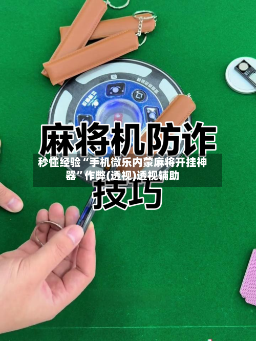 秒懂经验“手机微乐内蒙麻将开挂神器”作弊(透视)透视辅助