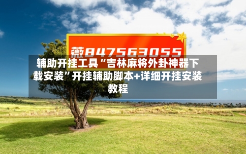 辅助开挂工具“吉林麻将外卦神器下载安装	”开挂辅助脚本+详细开挂安装教程-第2张图片