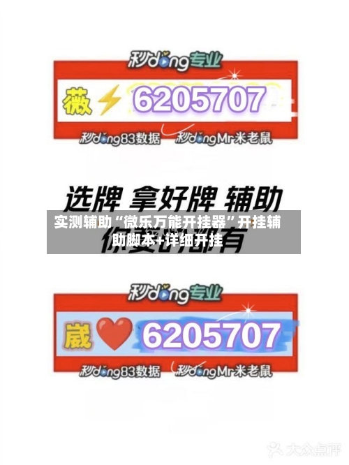 实测辅助“微乐万能开挂器”开挂辅助脚本+详细开挂-第3张图片