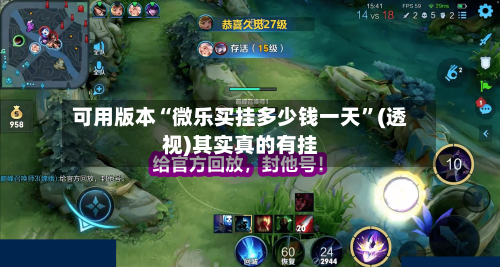 可用版本“微乐买挂多少钱一天”(透视)其实真的有挂-第3张图片