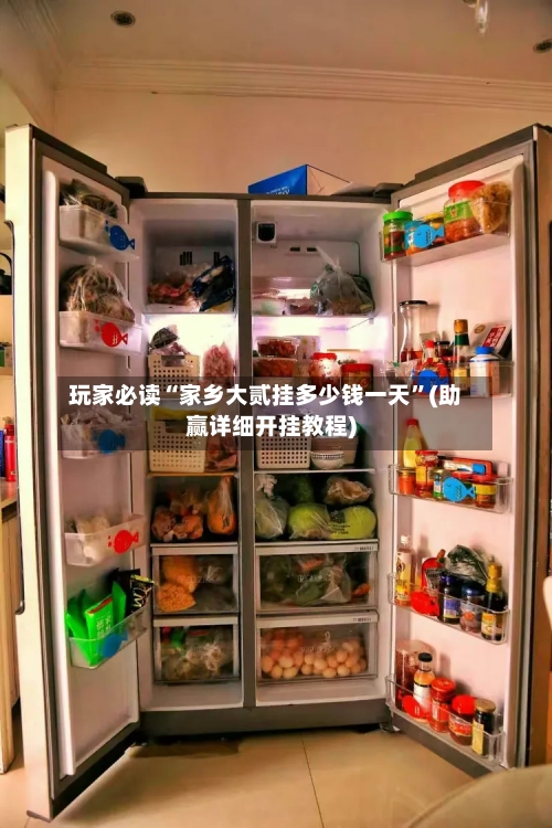 玩家必读“家乡大贰挂多少钱一天	”(助赢详细开挂教程)-第2张图片