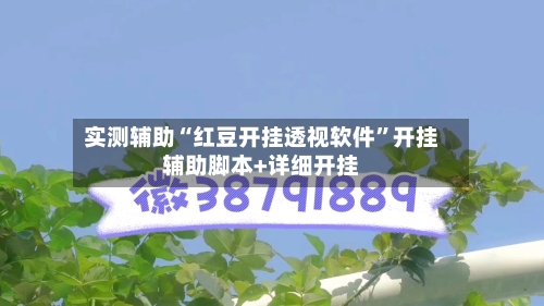 实测辅助“红豆开挂透视软件”开挂辅助脚本+详细开挂