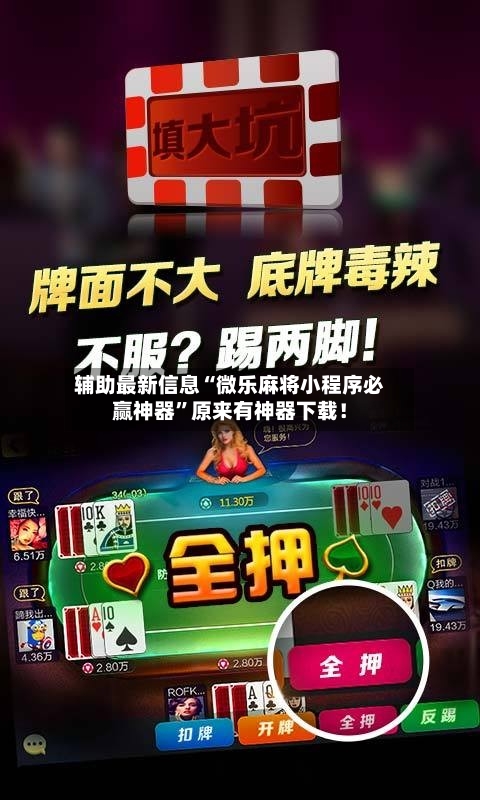 辅助最新信息“微乐麻将小程序必赢神器”原来有神器下载！-第3张图片