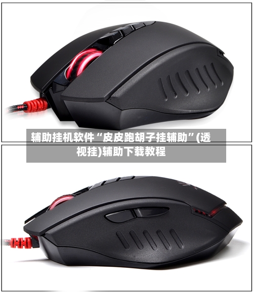 辅助挂机软件“皮皮跑胡子挂辅助”(透视挂)辅助下载教程-第2张图片