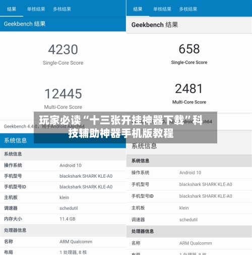 玩家必读“十三张开挂神器下载	”科技辅助神器手机版教程-第2张图片