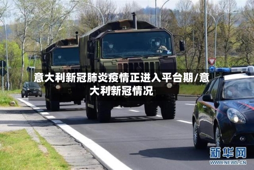 意大利新冠肺炎疫情正进入平台期/意大利新冠情况