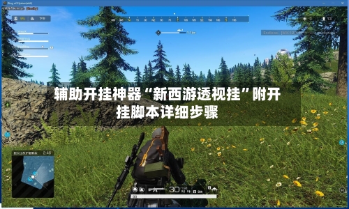 辅助开挂神器“新西游透视挂	”附开挂脚本详细步骤-第2张图片