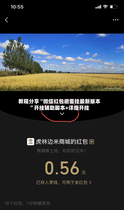 教程分享“微信红包避雷挂最新版本”开挂辅助脚本+详细开挂-第2张图片