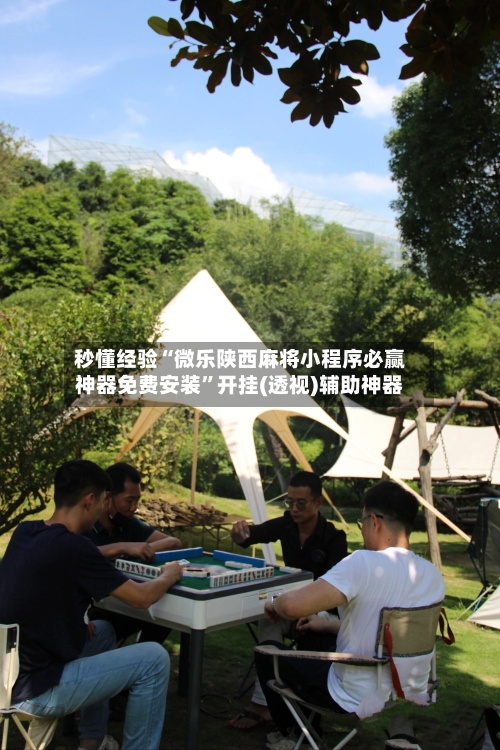 秒懂经验“微乐陕西麻将小程序必赢神器免费安装”开挂(透视)辅助神器-第3张图片