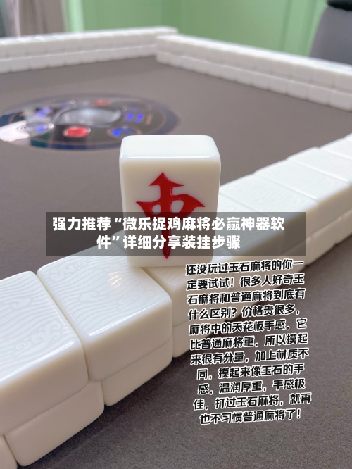 强力推荐“微乐捉鸡麻将必赢神器软件	”详细分享装挂步骤-第3张图片