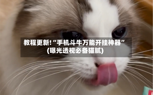 教程更新!“手机斗牛万能开挂神器”(曝光透视必备猫腻)-第3张图片