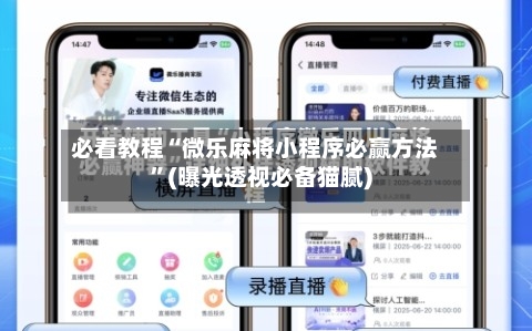 必看教程“微乐麻将小程序必赢方法”(曝光透视必备猫腻)-第3张图片