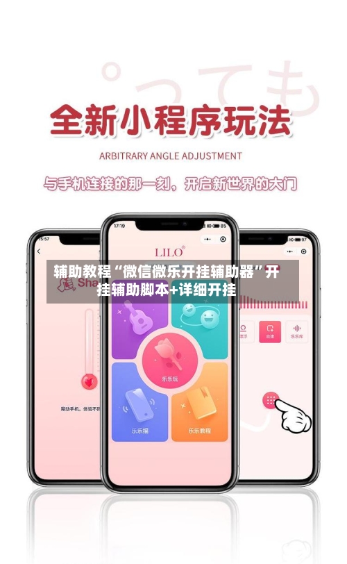 辅助教程“微信微乐开挂辅助器”开挂辅助脚本+详细开挂-第2张图片